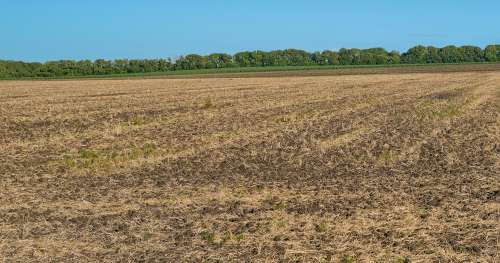 Agricultural Land for Sale